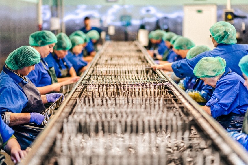 Banga Ltd Showcases Premium Canned Fish Innovations at the 2026 Summer Fancy Food Show