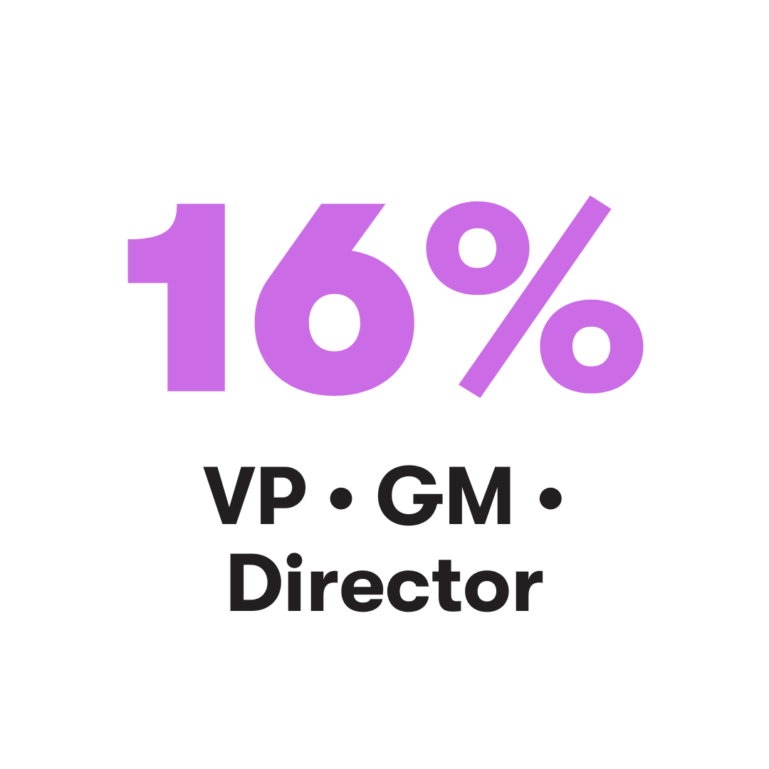 16% VP, GM, Director